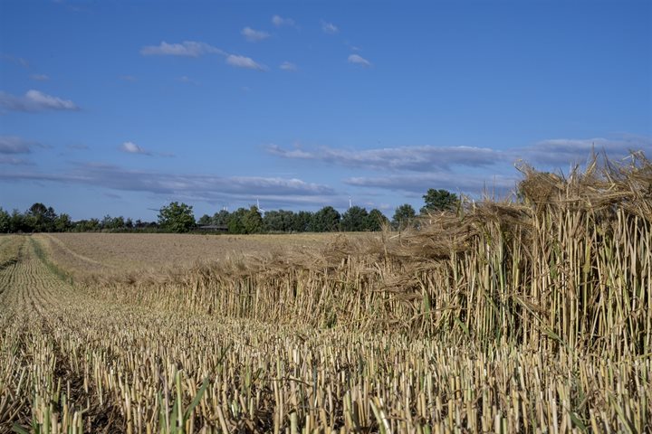 Duurzame landbouw