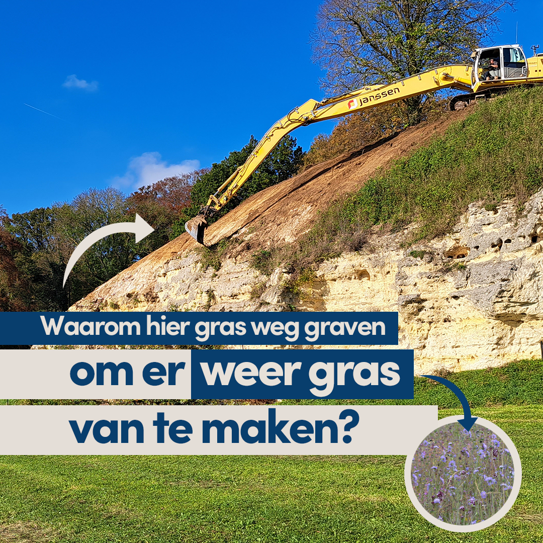 Waarom hier gras weg graven om er weer gras van te maken?