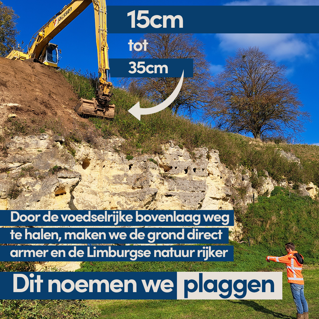 Door 15 tot 35 cm van de voedselrijke bovenlaag weg te halen, maken we grond armer en de Limburgse natuur rijker. Dit noemen we plaggen.