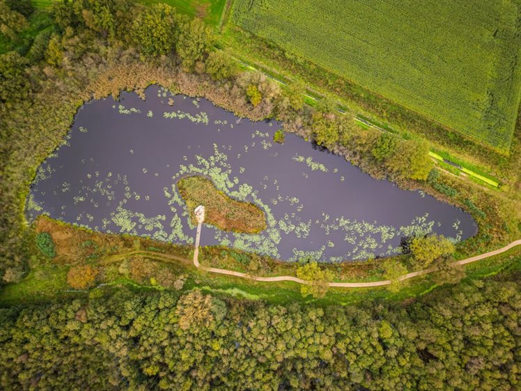 Luchtfoto van een waterplas, omringd door natuur, in gebied de Maasgaard